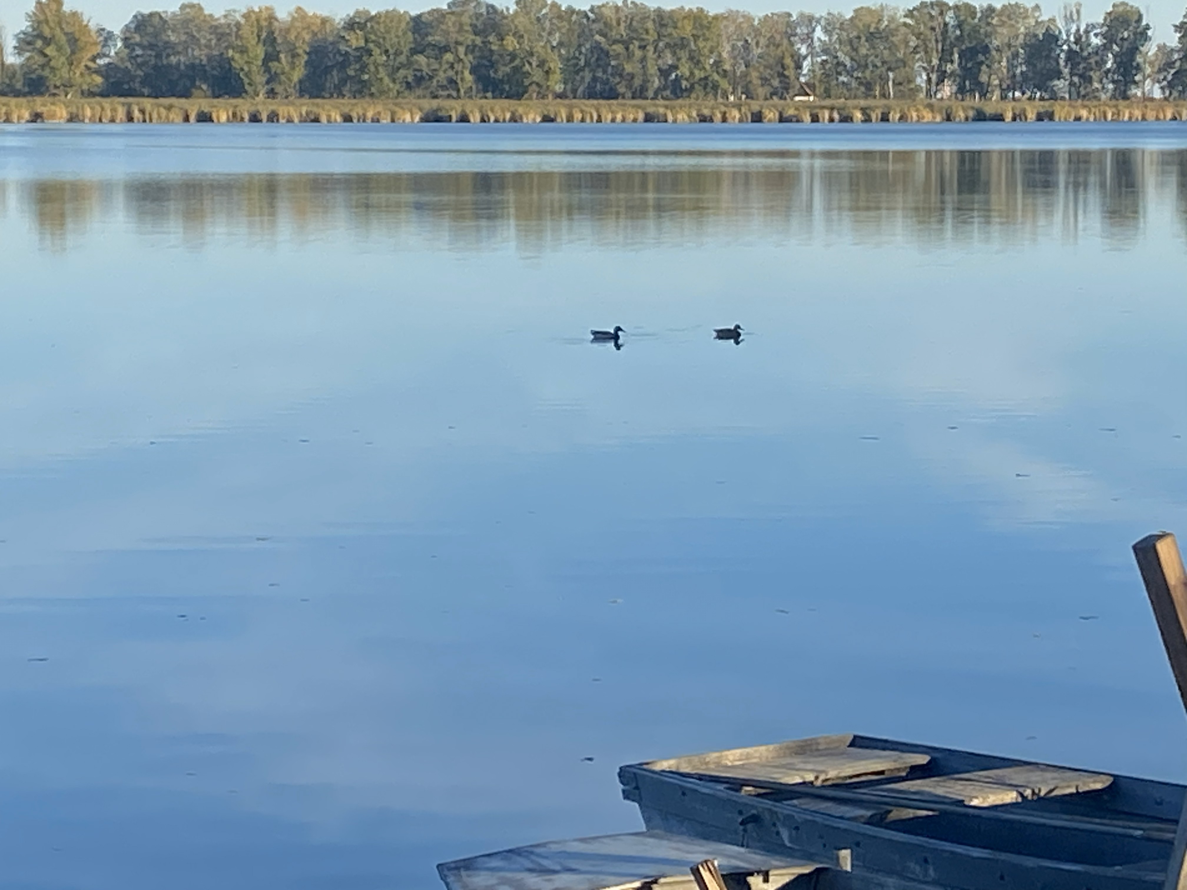 Gallery Image: IMG_8019.jpg